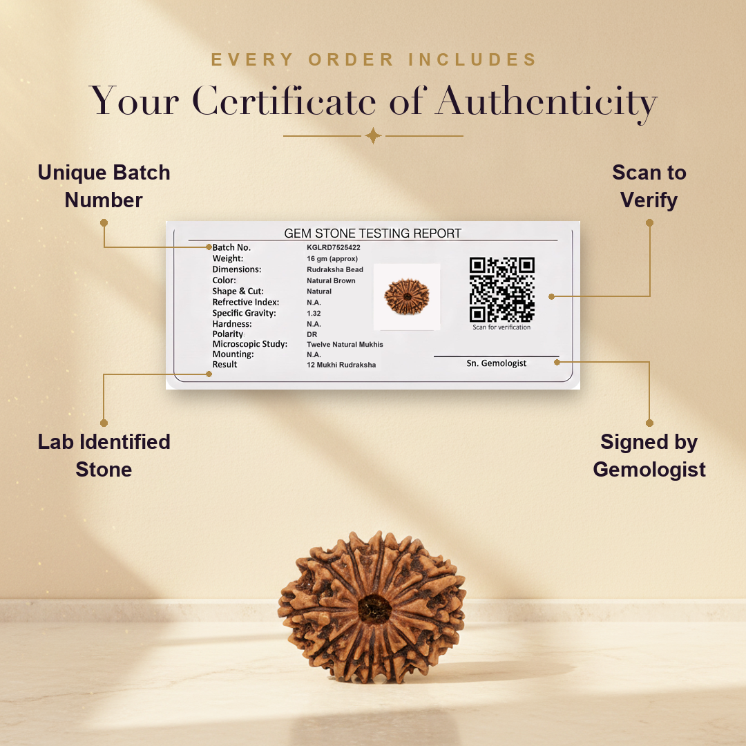 Aura AI trust: certificate of authenticity