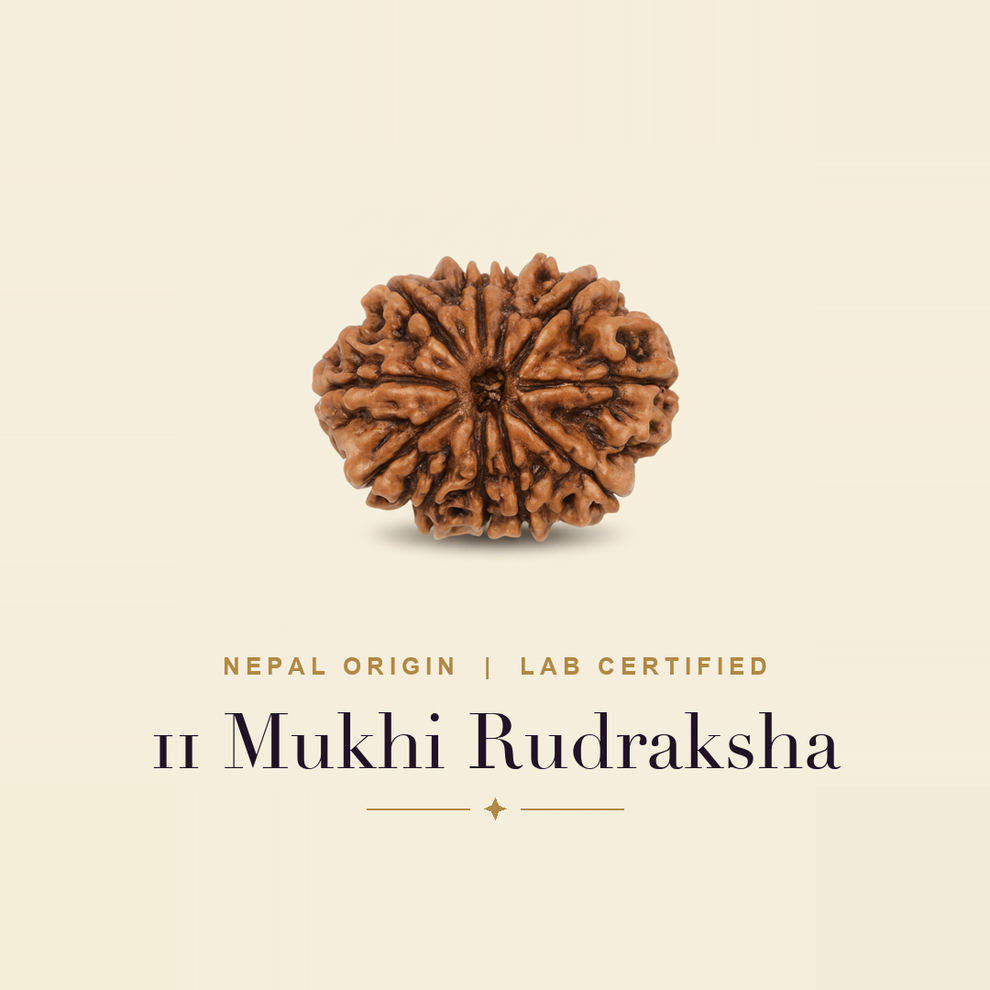 11 Mukhi Rudraksha — title card