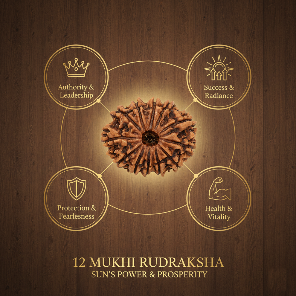 Benefits of 12 Mukhi Rudraksha