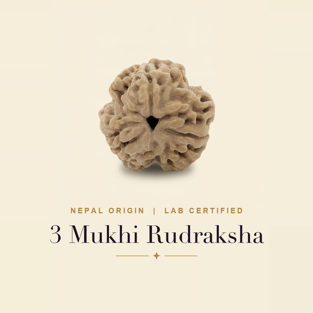 3 Mukhi Rudraksha — title card