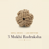 3 Mukhi