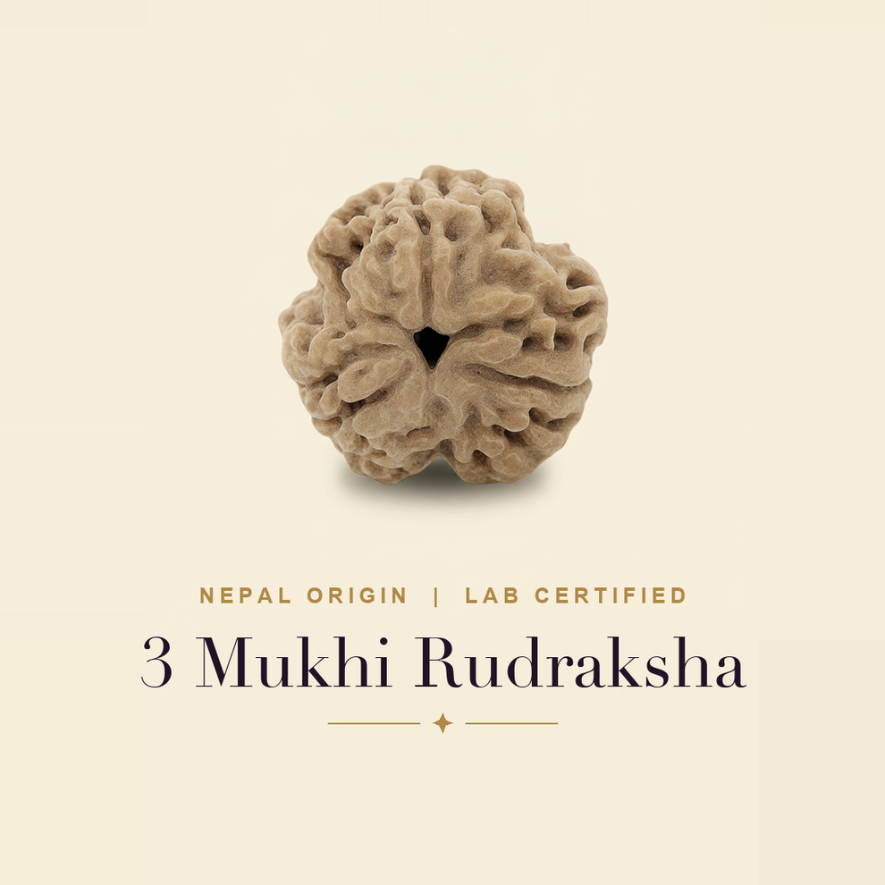 3 Mukhi Rudraksha — title card