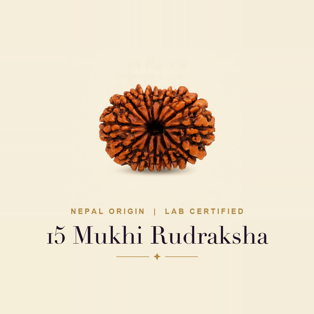 15 Mukhi Rudraksha — title card
