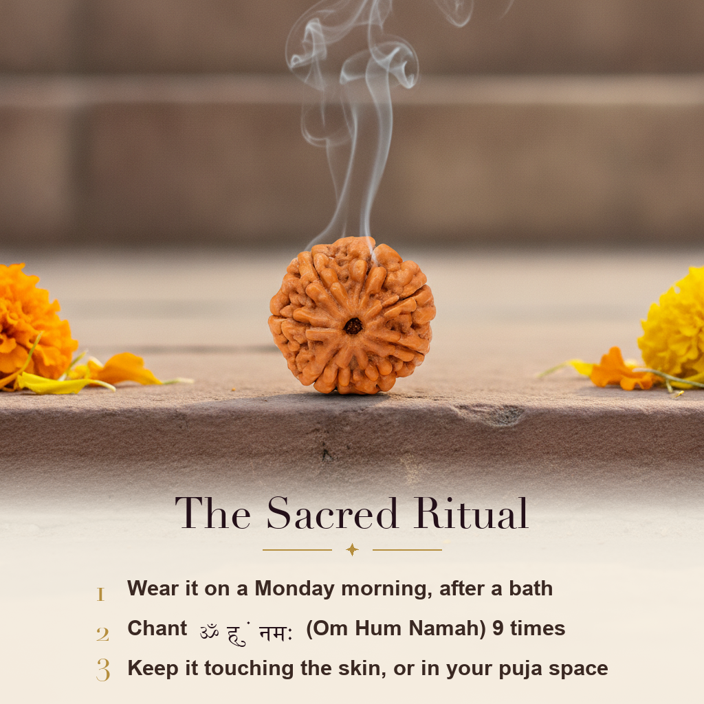 7 Mukhi Rudraksha sacred ritual