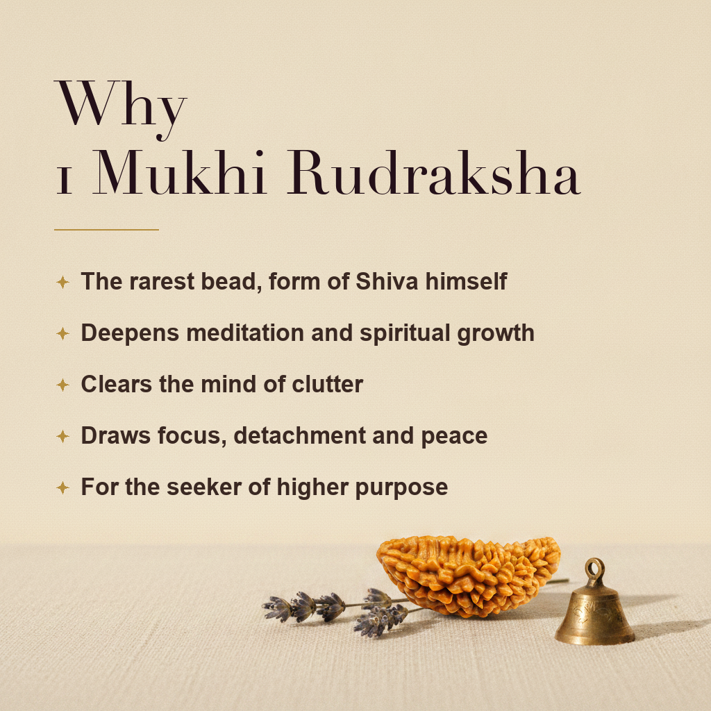 Why 1 Mukhi Rudraksha