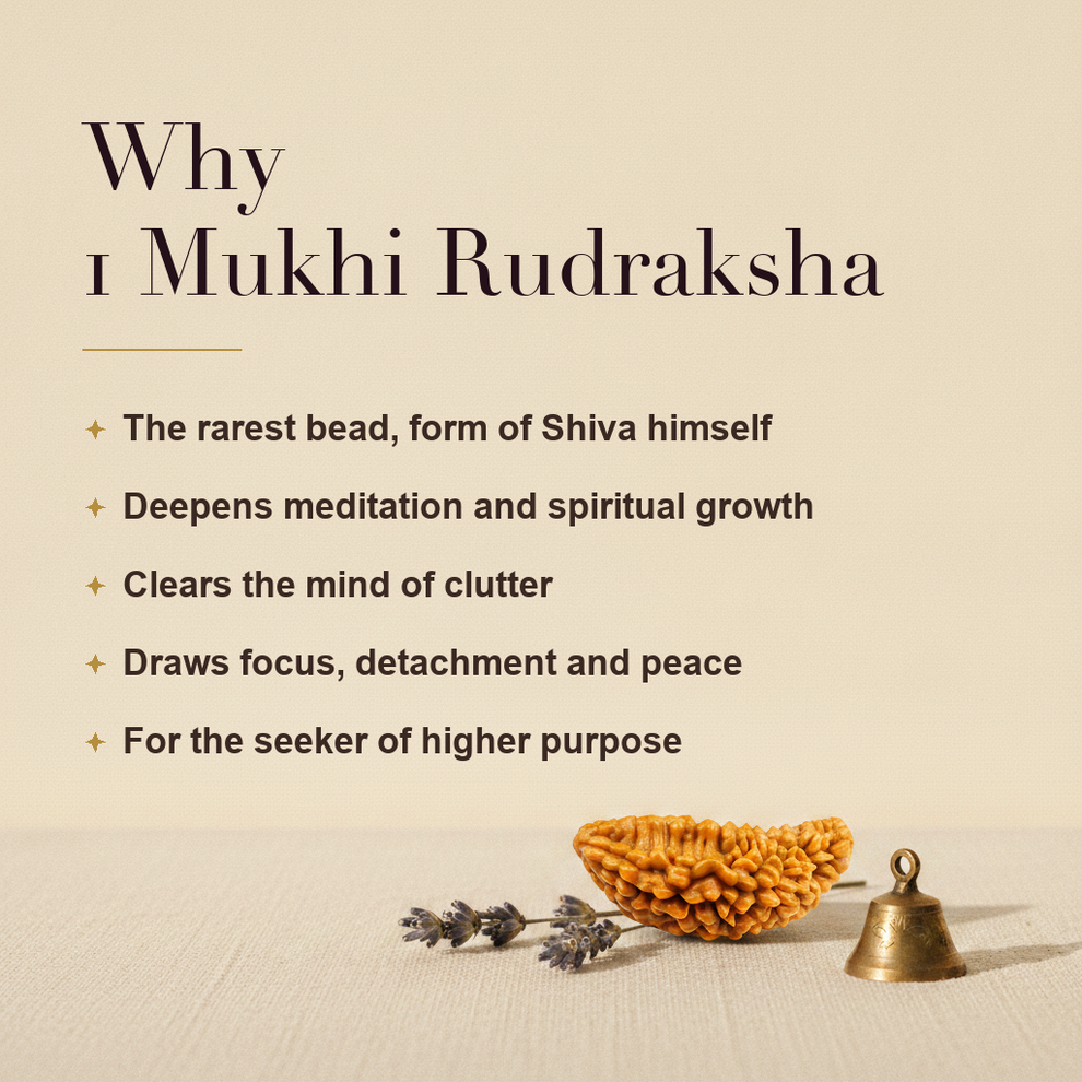Why 1 Mukhi Rudraksha
