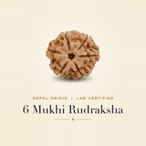 6 Mukhi