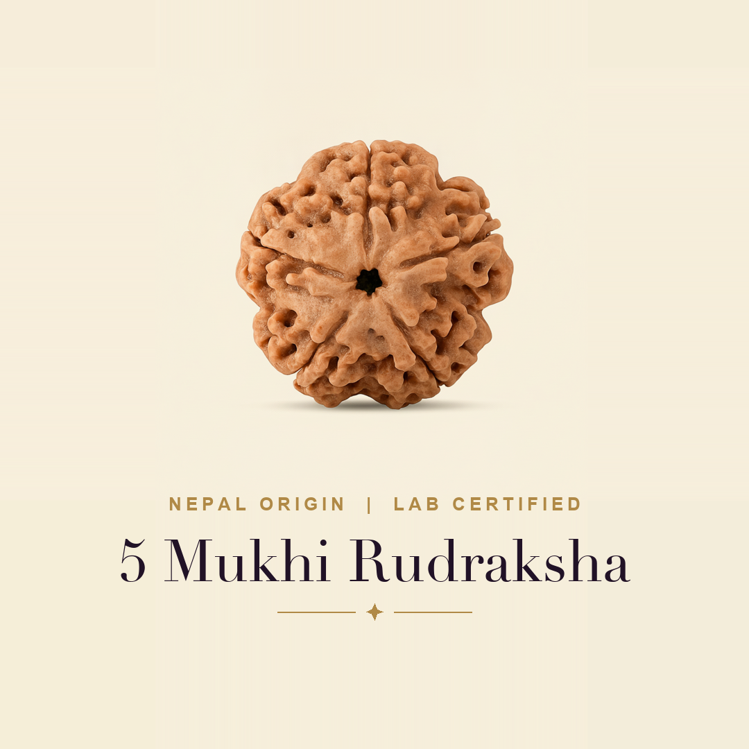 5 Mukhi Rudraksha — title card