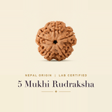 5 Mukhi