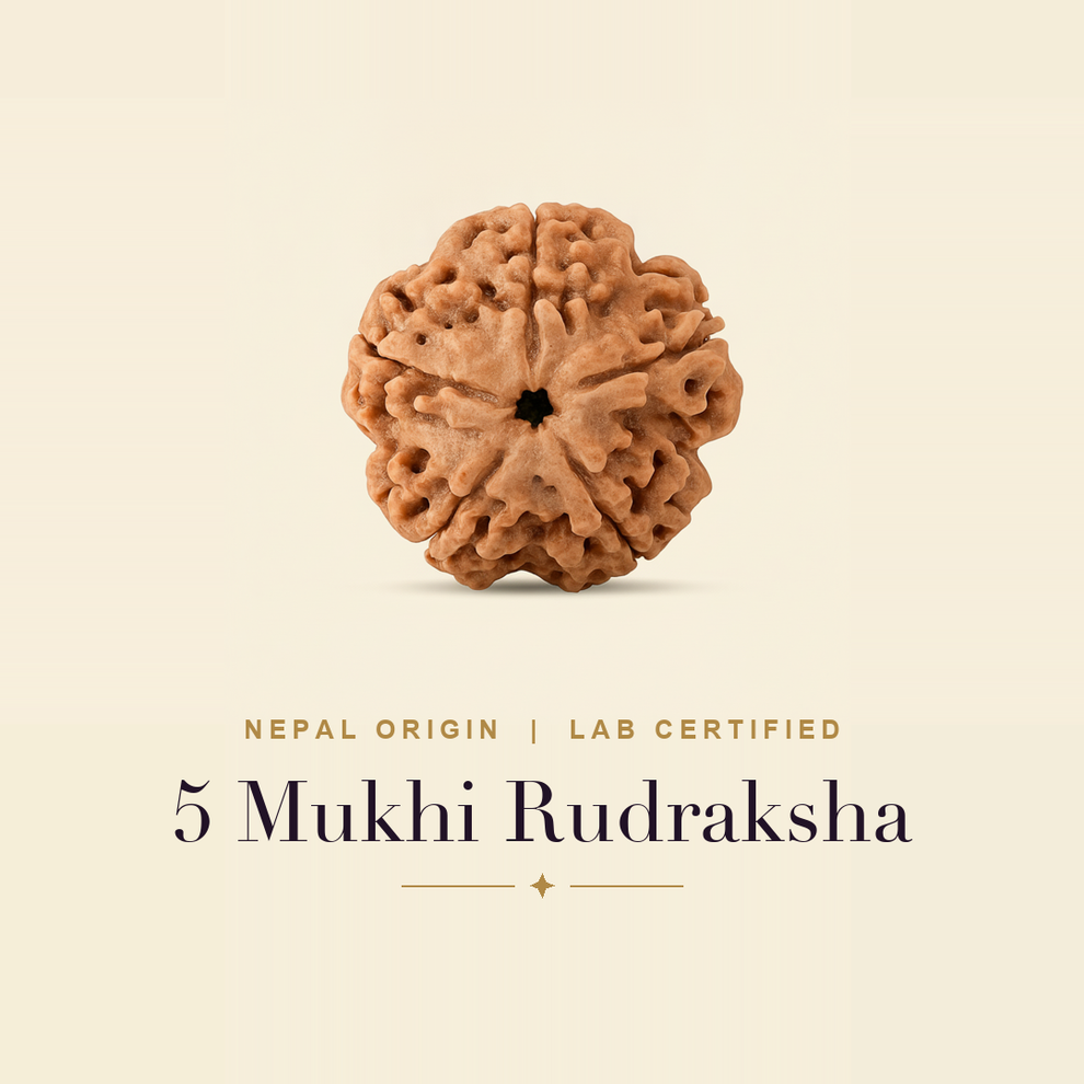 5 Mukhi Rudraksha — title card