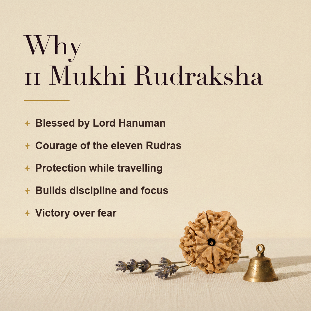 Why 11 Mukhi Rudraksha
