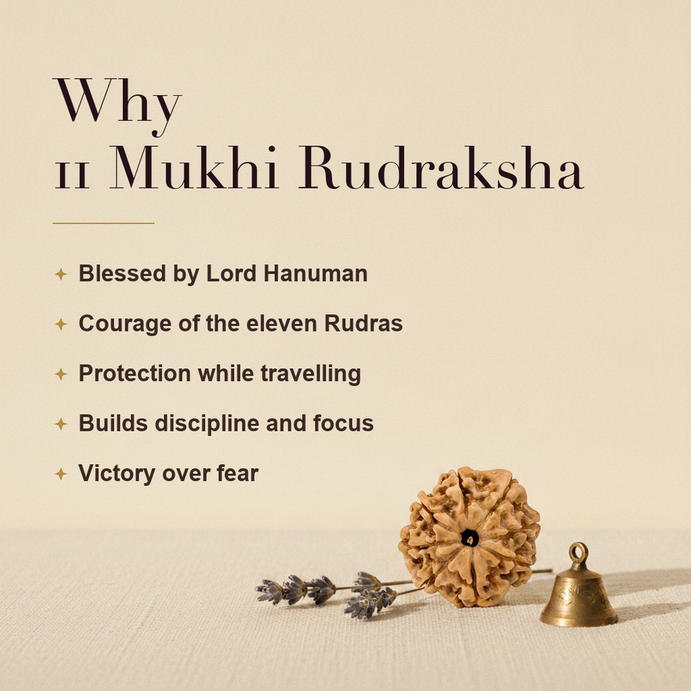 Why 11 Mukhi Rudraksha