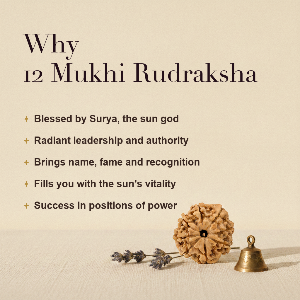 Why 12 Mukhi Rudraksha