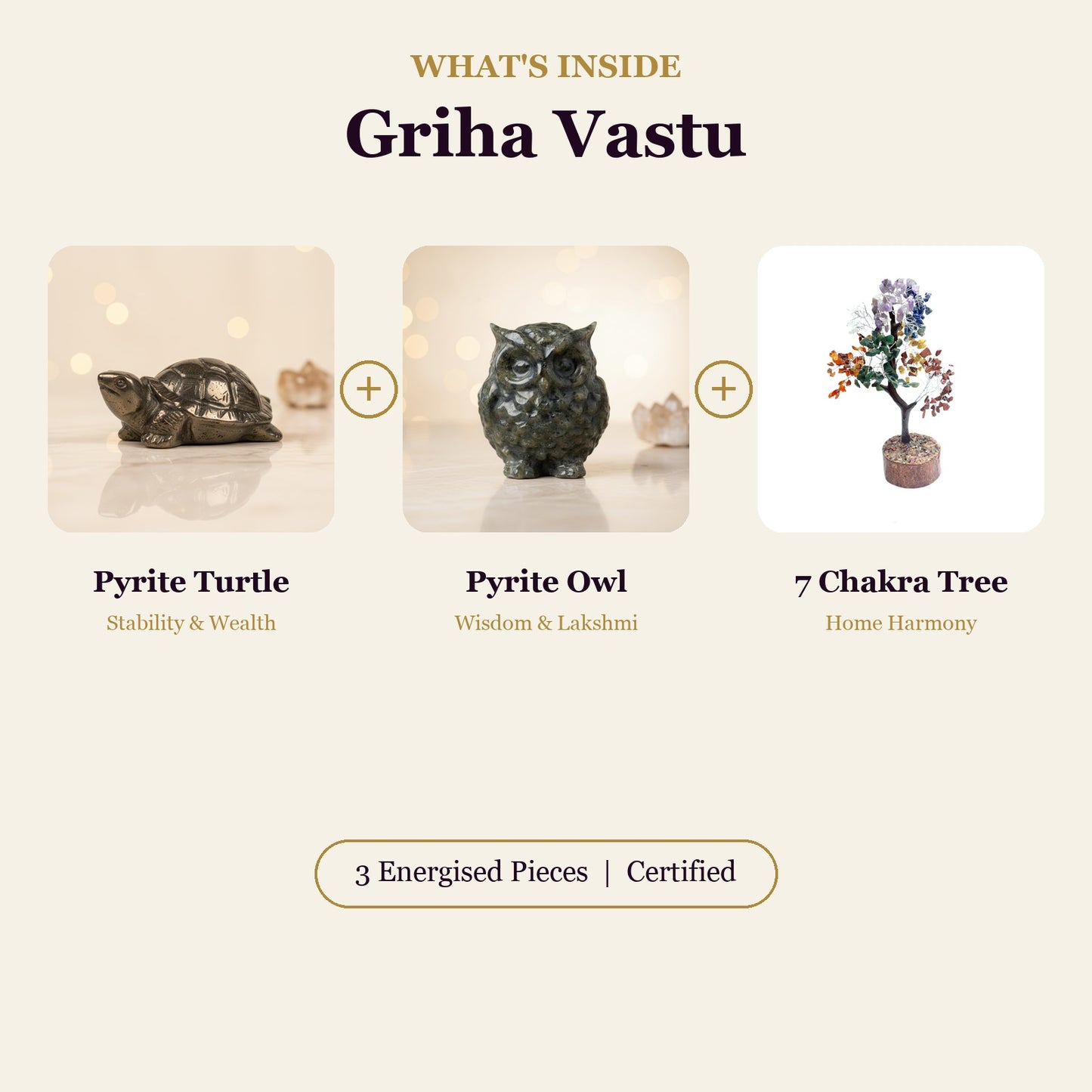 Griha Vastu Combo (Pyrite Turtle + Pyrite Owl + 7 Chakra Tree)
