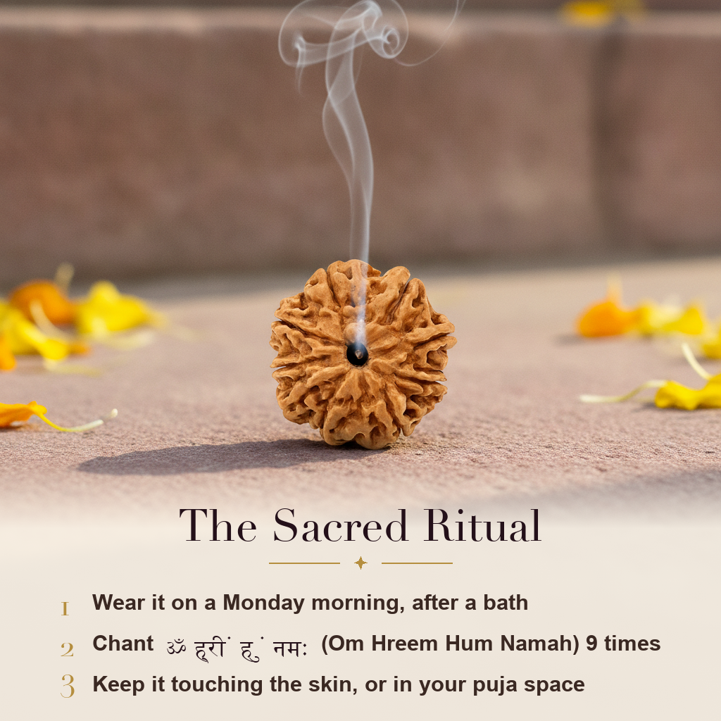 9 Mukhi Rudraksha sacred ritual