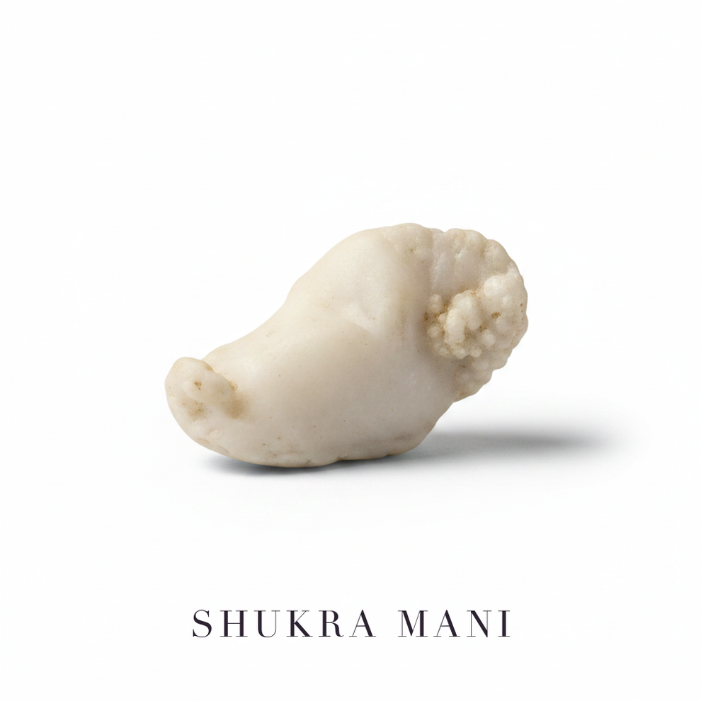 Shukra Mani