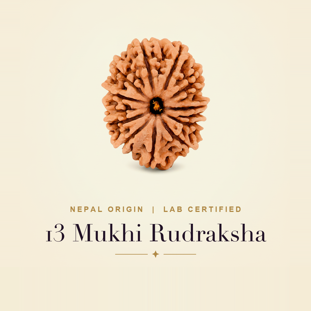 13 Mukhi Rudraksha — title card