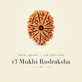 13 Mukhi