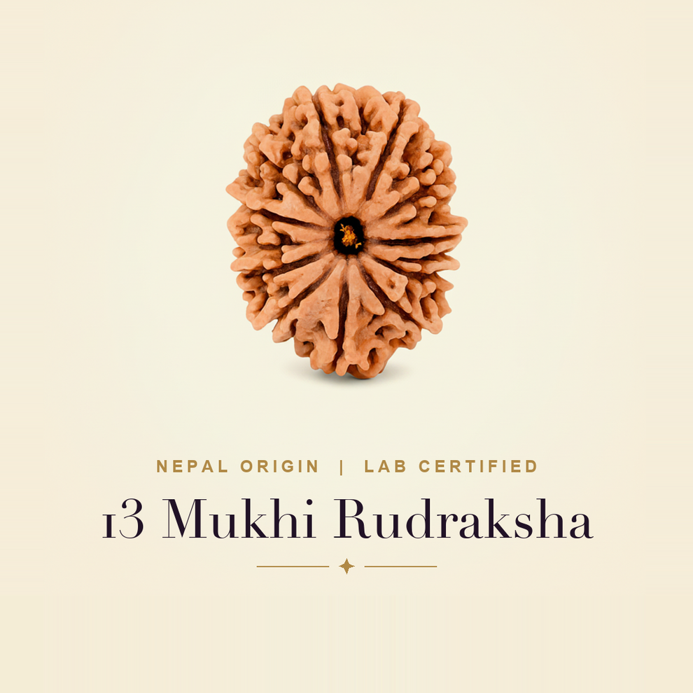 13 Mukhi Rudraksha — title card