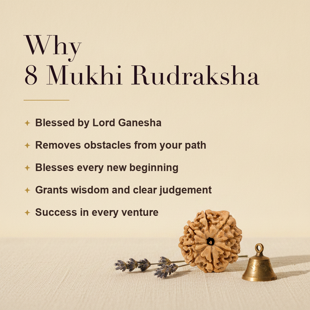 Why 8 Mukhi Rudraksha