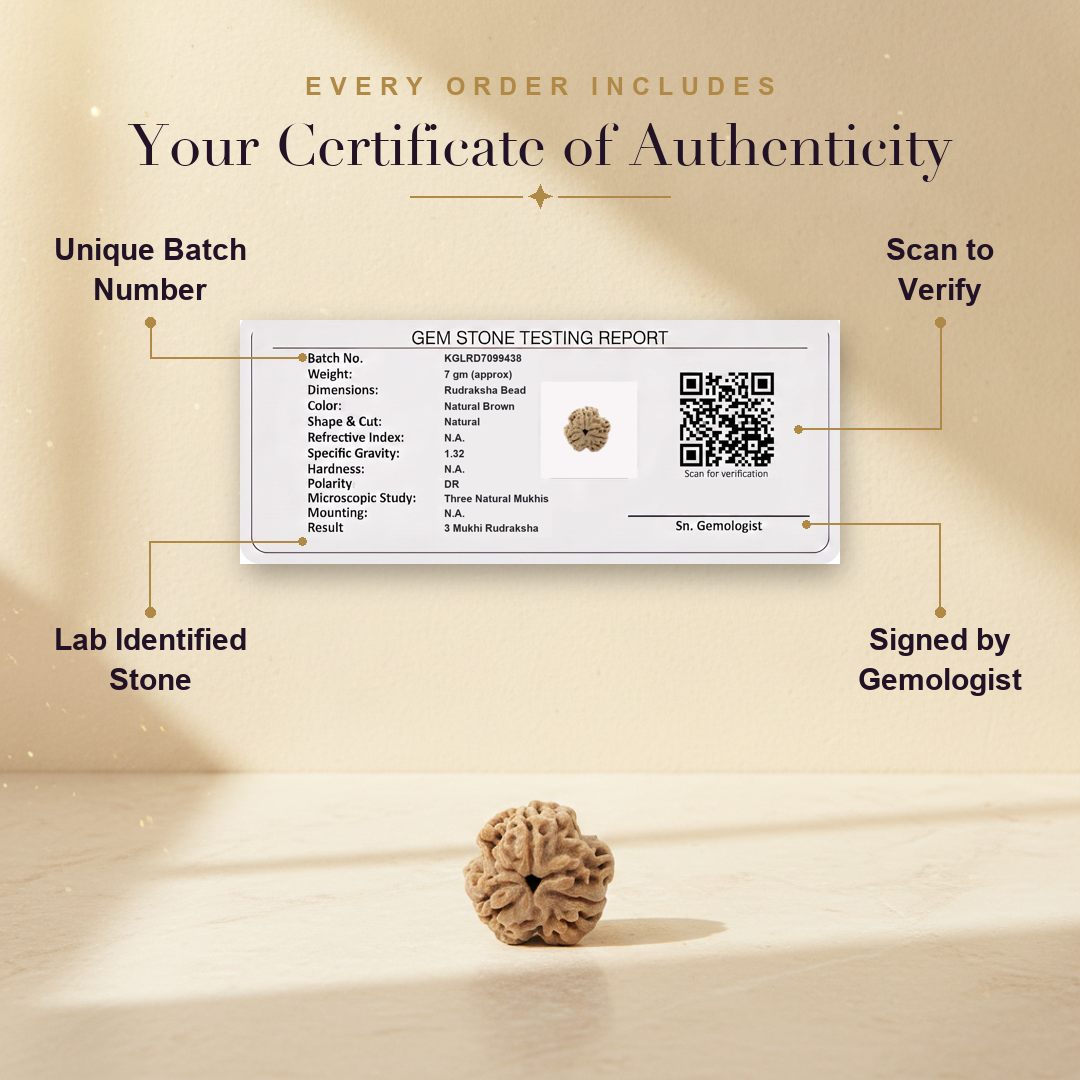 Aura AI trust: certificate of authenticity
