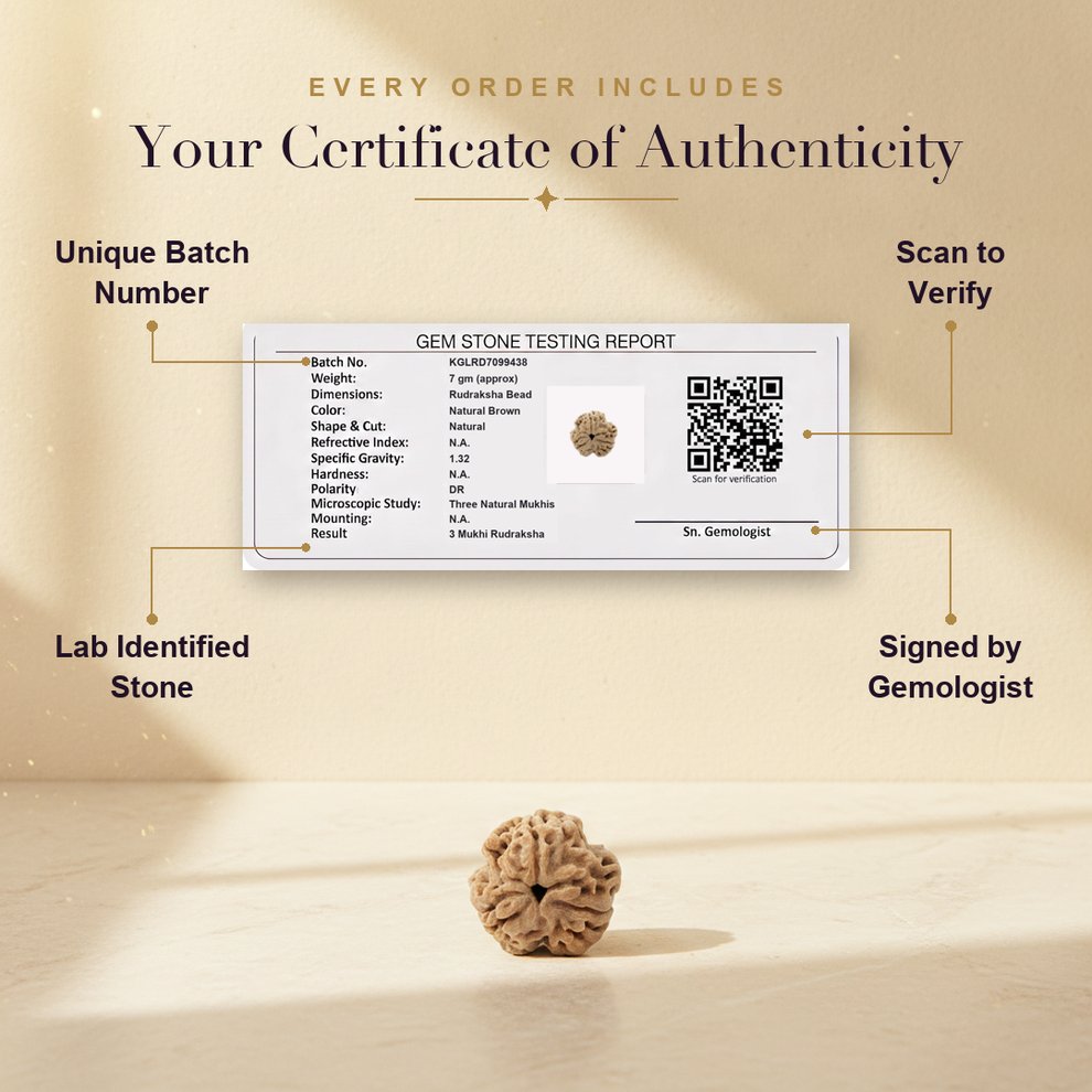 Aura AI trust: certificate of authenticity