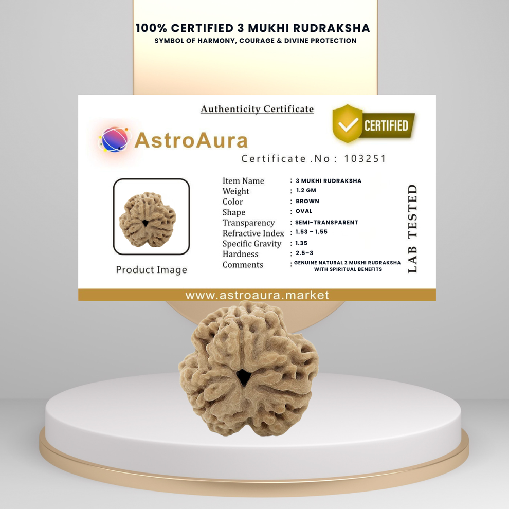 Original 3 Mukhi Rudraksha (Nepal Origin, Agni-Blessed)