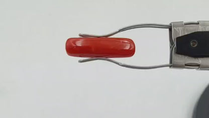 Coral Stone (Regular) - Italian