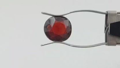 Gomedh Stone (Medium) - Sri Lanka