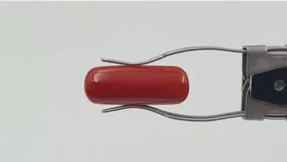 Coral Stone (Premium) - Italian