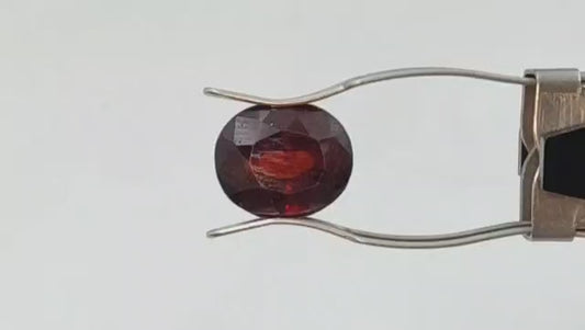 Gomedh Stone (Premium) - Sri Lanka