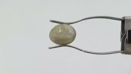Cats Eye Stone (Premium) - Indian