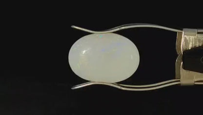 Fire Opal Stone (Medium) - Australian