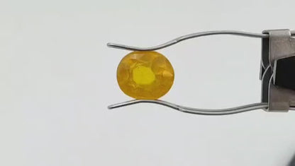 Yellow Sapphire Stone (Regular) - Bangkok