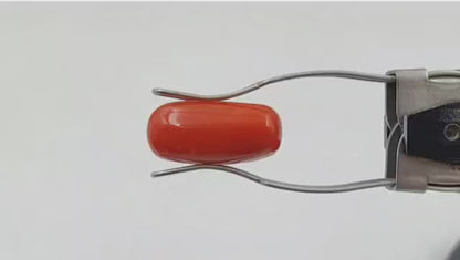 Coral Stone (Medium) - Italian