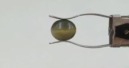 Cats Eye  Stone (Premium AAA) - Sri Lanka