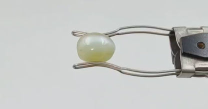 Cats Eye Stone (Regular) - Indian