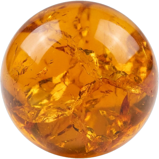 Amber bead