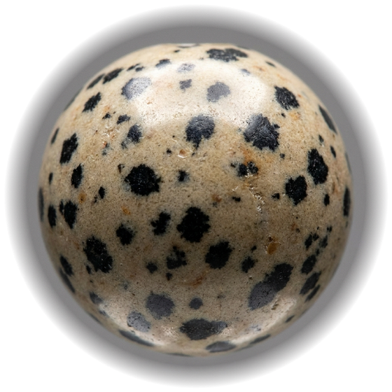 Dalmatian Jasper bead