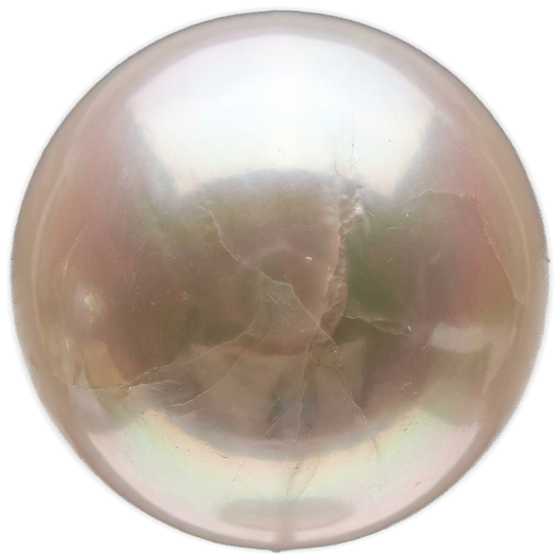 South Sea Pearl bead